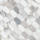 MSI Edessa Scallop Polished Tile