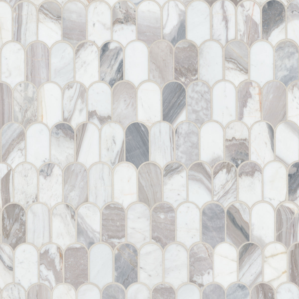 MSI Edessa Scallop Polished Tile, photo 2 of 11