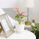 4 inch White Minimalist Pot with Saucer