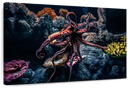 Octopus Habitat Wall Art
