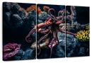 Octopus Habitat Wall Art