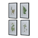 Botanical And Fern Wall Art, Wall Decor For Living Room Dining Room Entryway (Set of 4) - White / Black by HouseOfZazla