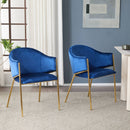 Modern Upholstered Dining Chair With Frame And