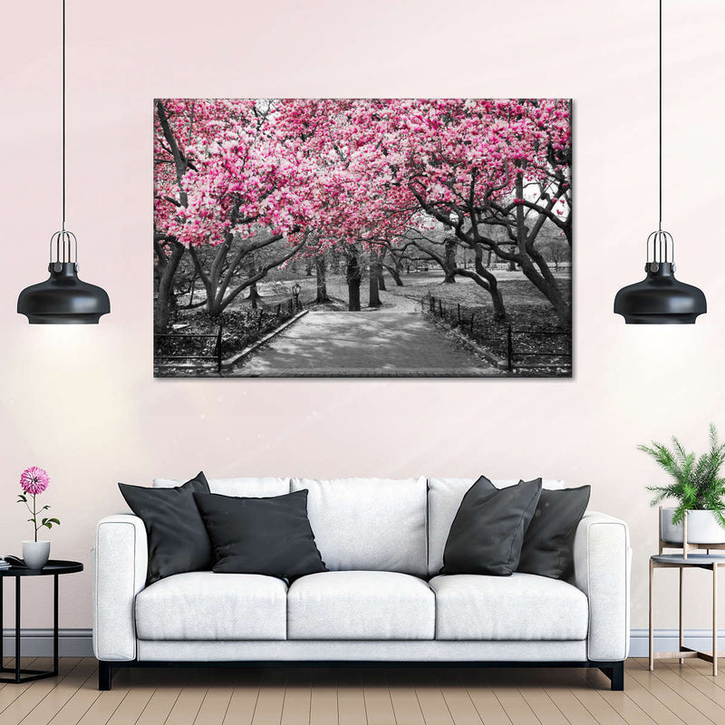 Central Park NY Cherry Blossoms Wall Art