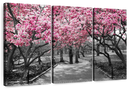 Central Park NY Cherry Blossoms Wall Art
