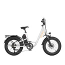 EKX L1 1000W 48V/15.6AH Electric Mountain Fat Tire Bike, 20" (SAK27491) by SAKSBY WHOLESALE