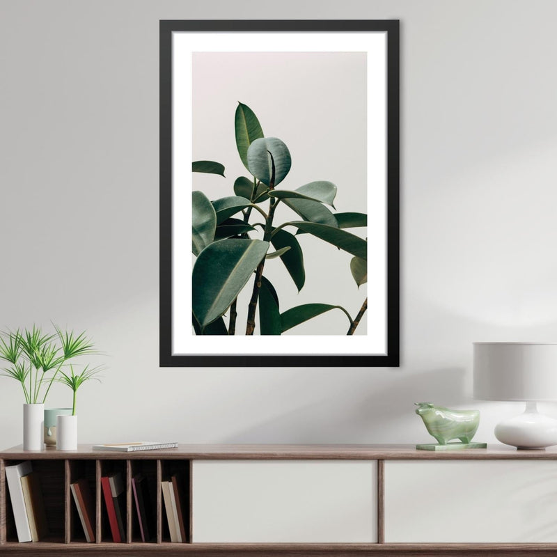 Elastica Plant Print