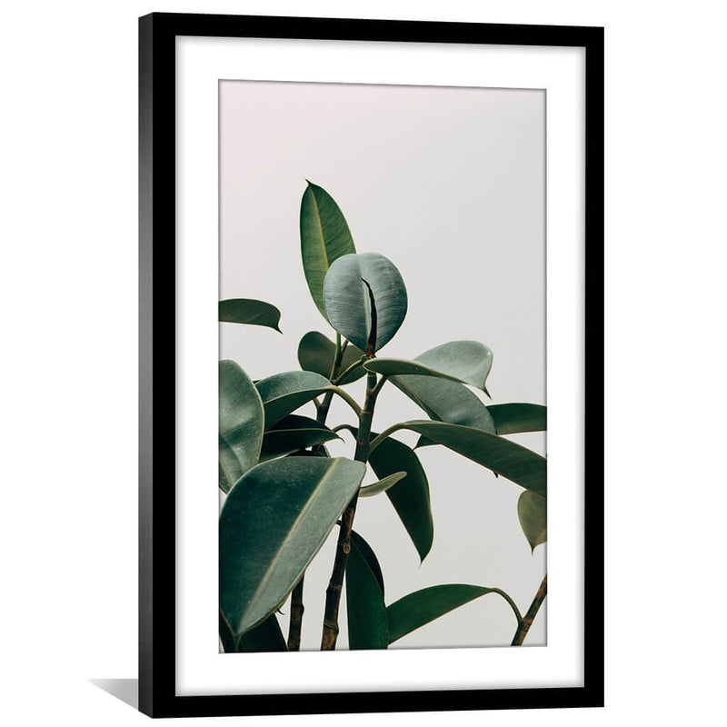 Elastica Plant Print