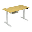 48-Inch Electric Standing Adjustable Desk with Control Panel and USB Port-Natural by LJGDeals