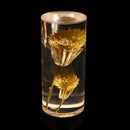 GobekUsa Eternal Flower Acrylic Desk Lamp LED Nightlight Bedroom Bedlight Decoration