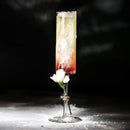 Elegant dried flower bubble champagne glasses dining room set of 2 by Decorbites