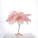 GobekUsa Elegant Ostrich Feather Floor Lamp for Home Decor & Lighting