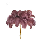 GobekUsa Elegant Ostrich Feather Floor Lamp for Home Decor & Lighting