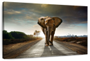 Walking Lone Elephant Wall Art