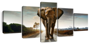 Walking Lone Elephant Wall Art