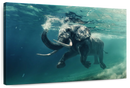 Swimming Elephant Wall Art
