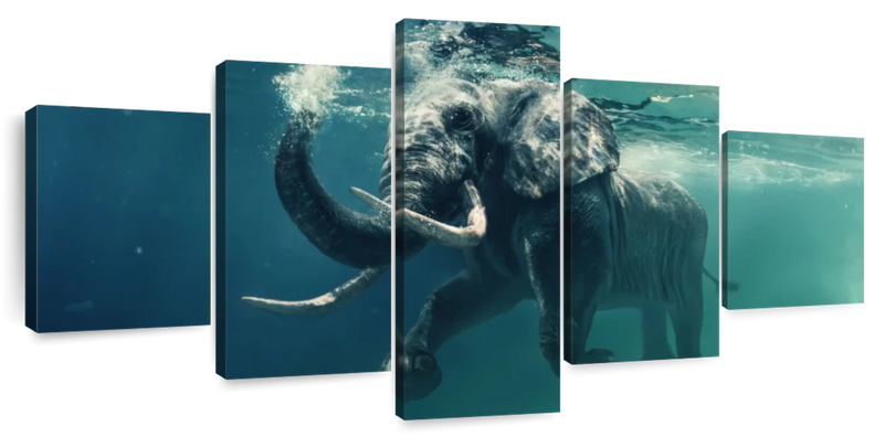 Swimming Elephant Wall Art