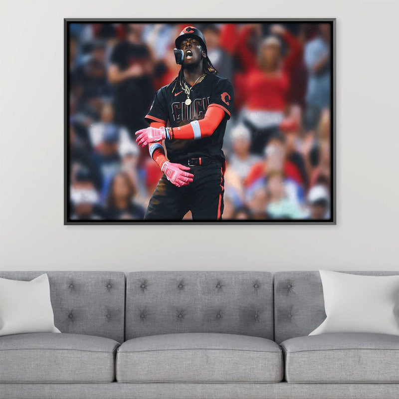 Elly Celly Canvas