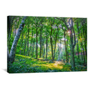 Emerald Forest Canvas