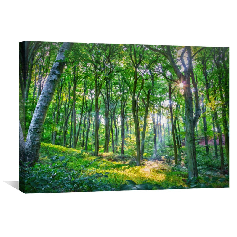 Emerald Forest Canvas