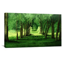 Emerald Grove Canvas