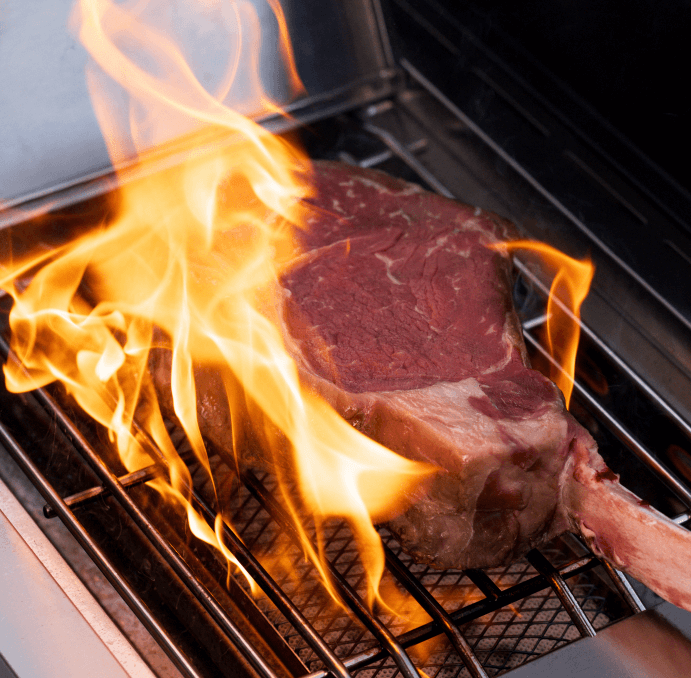 Eminence 605 | Master Power Stainless Natural/Propane Gas Grill