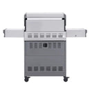 Eminence 405 | Chic Clearview® Smart Stainless Gas Grill by Monument Grills