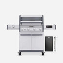 Eminence 405 | Chic Clearview® Smart Stainless Gas Grill by Monument Grills