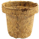 Coco Seed Starter Cup 2.5 Inch Diameter - 36 Pack by EnvelorHome