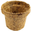Coco Seed Starter Cup 2.5 Inch Diameter - 36 Pack by EnvelorHome