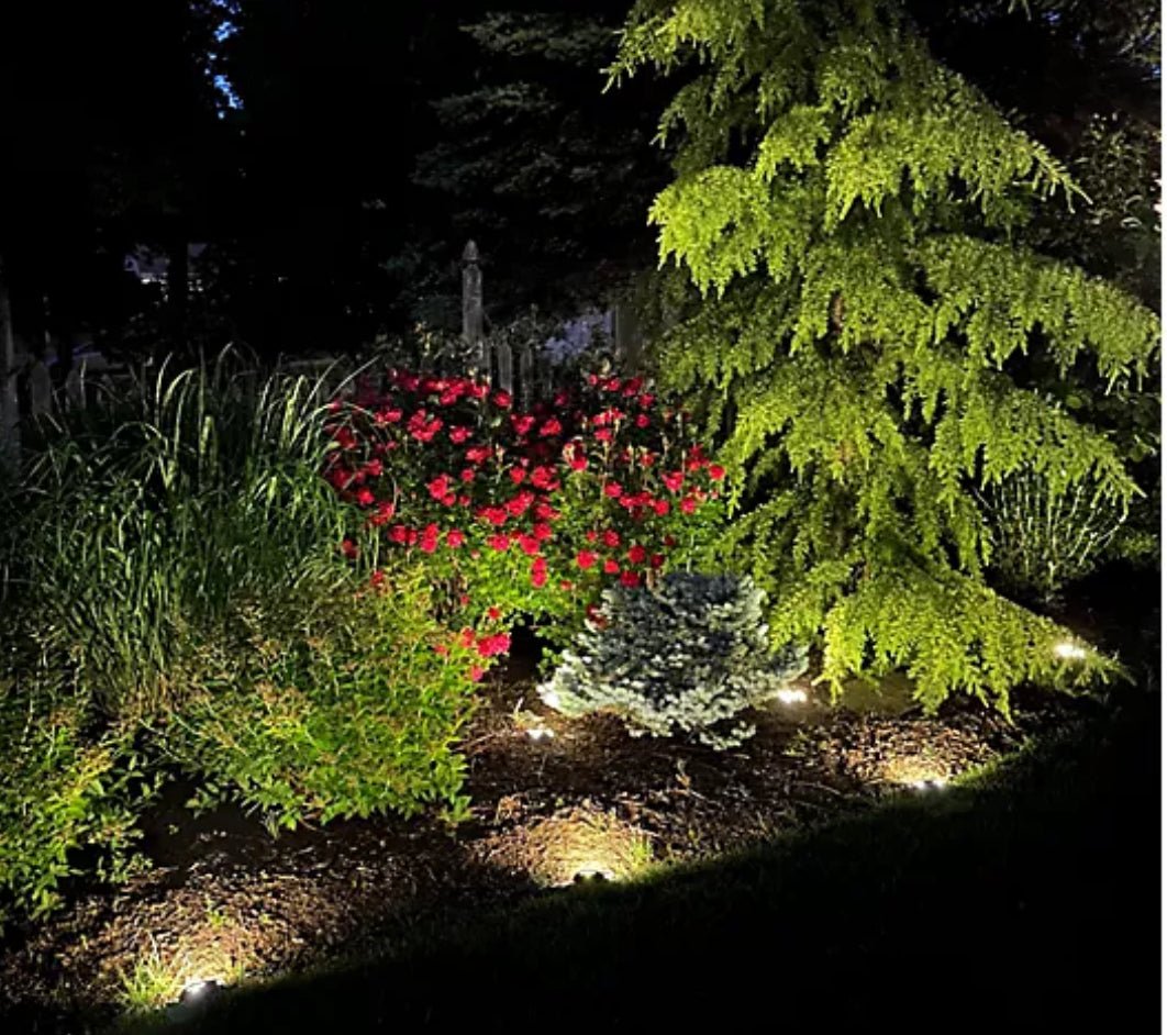 Energizer 10-pc Solar Disc Lights Multi-Direction 20 Lumen, photo 15 of 17
