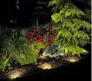 Energizer 10-pc Solar Disc Lights Multi-Direction 20 Lumen