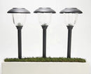 Energizer 12 Pack Solar Pathway Light Set 15-Lumen