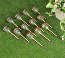 Energizer 12 Pack Solar Pathway Light Set 15-Lumen