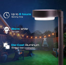 Energizer 20 Lumen Set of 4 Down light Aluminum Solar Pathway Lights