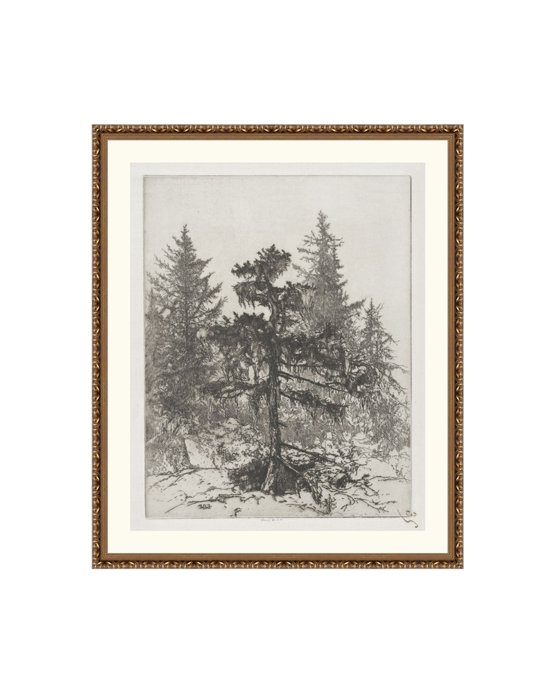 Pine Etching