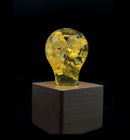 EP LIGHT - 3-Pack Flower Bulbs by EP Designlab LLC