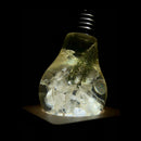 EP LIGHT - 3-Pack Flower Bulbs by EP Designlab LLC
