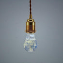 EP LIGHT - 3-Pack Flower Bulbs by EP Designlab LLC