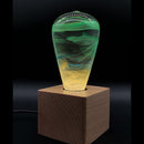 EP LIGHT Gift Set - 3-Pack LED Bulbs by EP Designlab LLC