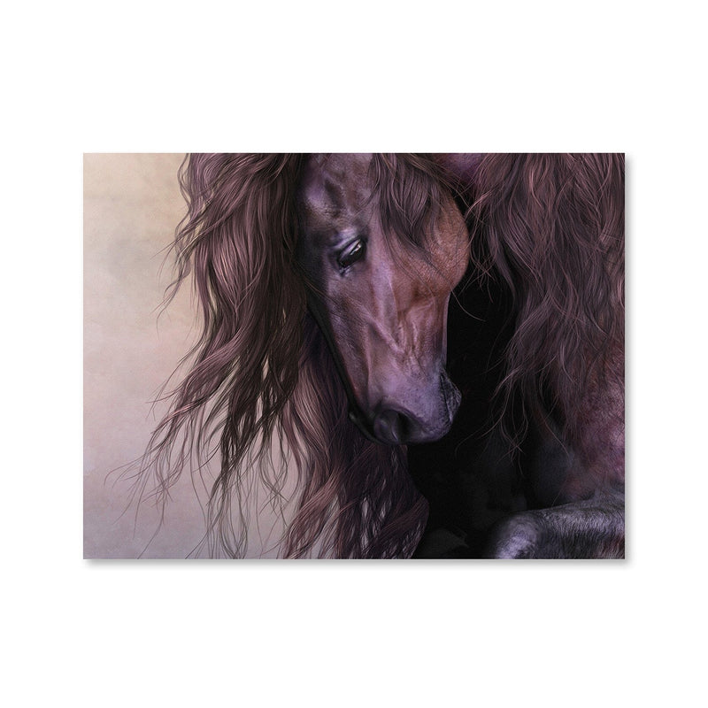 Equus Canvas