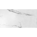 Estatuario Matte Marble Look Porcelain Tiles 24x48