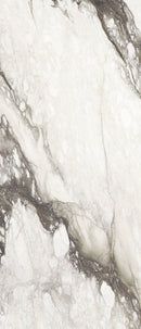 Etoile Renoir Magnum