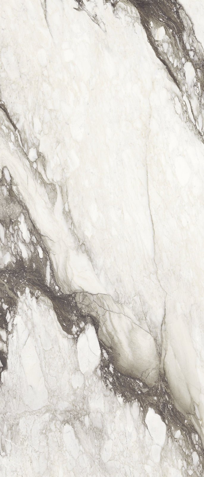 Etoile Renoir Magnum