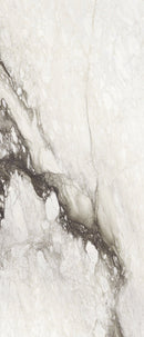 Etoile Renoir Magnum