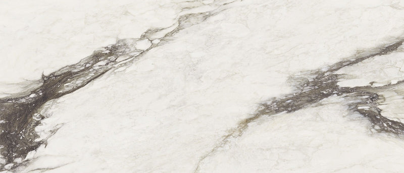 Etoile Renoir Magnum