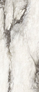 Etoile Renoir Magnum