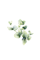 Room Spray | Eucalyptus