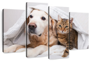 Cozy Dog And Cat Wall Art