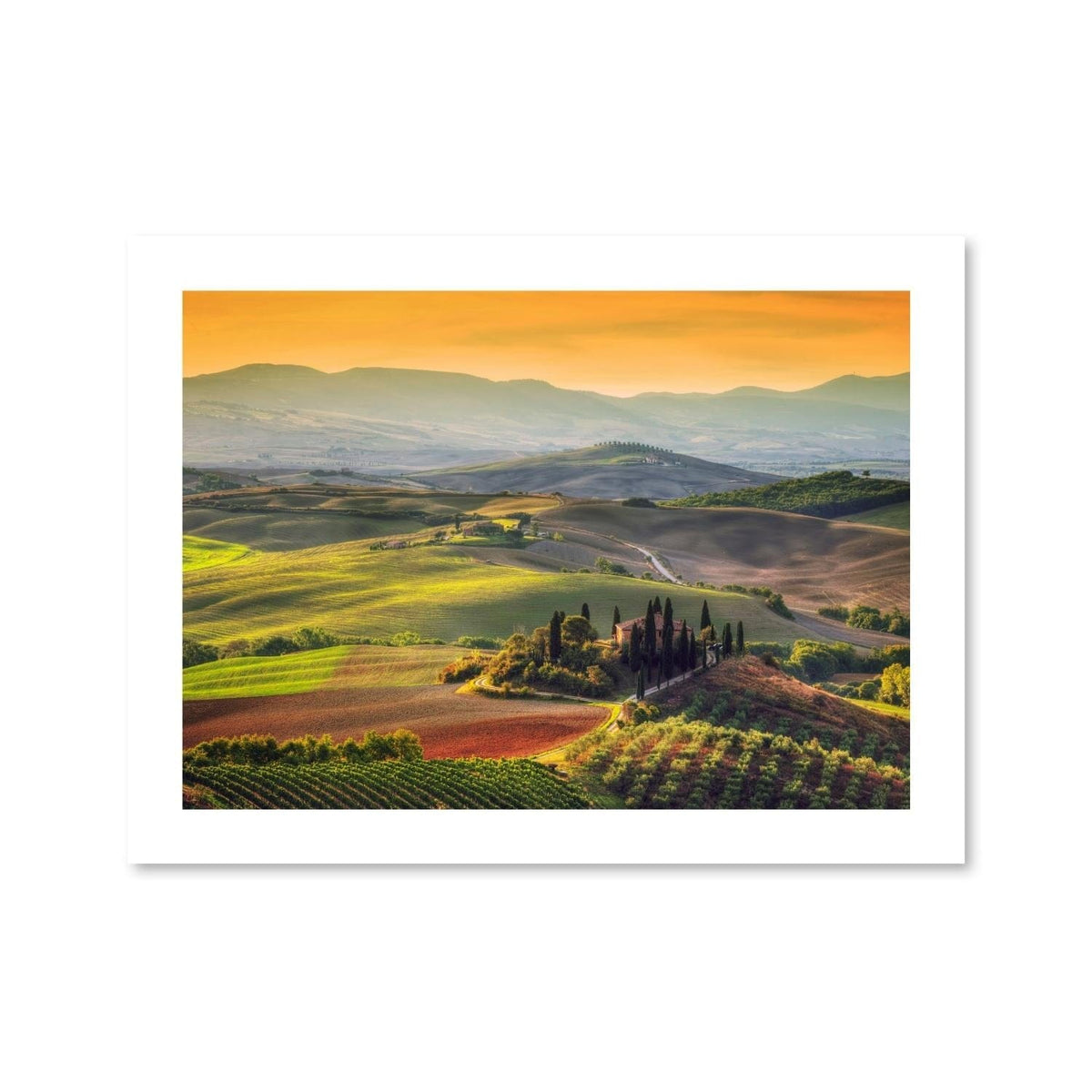 Evening Meadow Print, photo 3 of 6